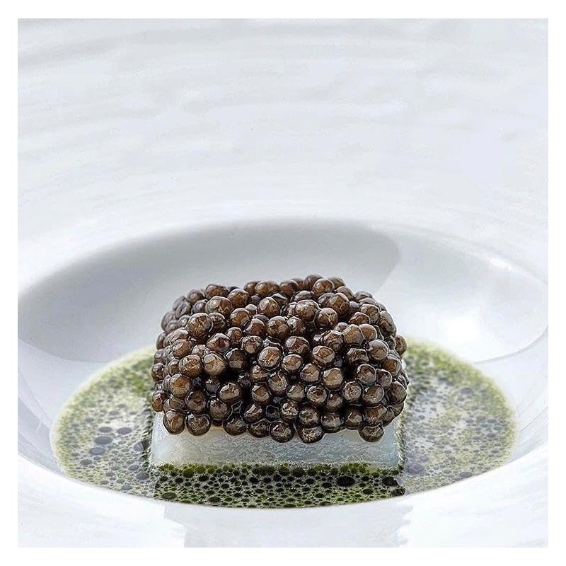Caviar Star - Premium Black Caviar Sturgeon from Sustainable Farms
