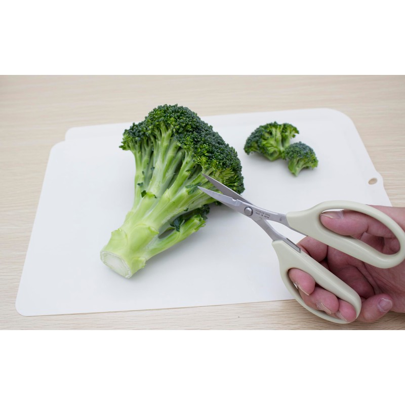 Kitchen Scissors, Made in Japan, Small, Mini Stainless Cod Roe,