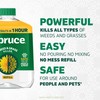Spruce Weed Killer Refill - Versatile Weed & Grass Killer₂
