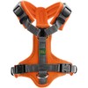 Hunter Maldon Y-Shape Soft Padded Harness for Sports, XS