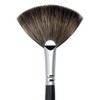 Royal & Langnickel Silk Pro Dust Off Stray Eye Make-Up