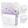 LFSYS Indoor Fruit Fly Trap with 10 Refills - Effective