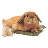 Strawako Club Rabbit Seat Mat, M Size