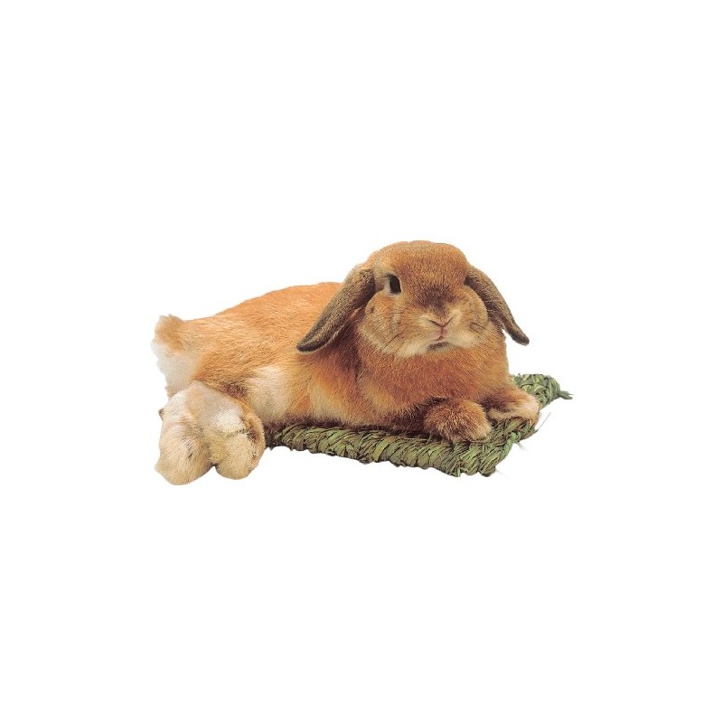 Strawako Club Rabbit Seat Mat, M Size