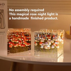 GL-Turelifes Rose Night Light,Led Decorative Nights Lamp for Bedroom, Magic Cube Flower Table Mirror Lamp，10 Flowers Birthday Gifts for Her Mom Girls Sister Wife Valentine Gifts (Pink)