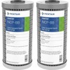 Pentair Pentek NCP-BB Big Blue Carbon Water Filter, 10-Inch, Whole