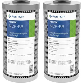 Pentair Pentek NCP-BB Big Blue Carbon Water Filter, 10-Inch, Whole House Non-Cellulose Carbon Impregnated Pleated Filter Cartridge, 10" x 4.5", 10 Micron, Pack of 2