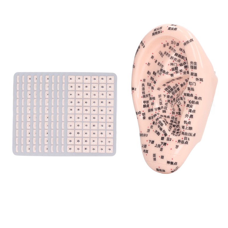 17cm Ear Point Probe 600pcs Auricular Patches Silicone Ear Model