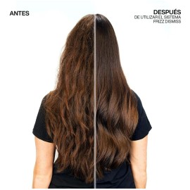 Mascarilla Frizz Dismiss Redken 250ml
