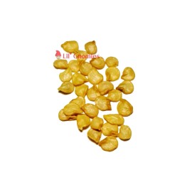 Lil Gnomies Hawaiian Chili Hot Pepper Seeds Birdseye - 15 Seeds