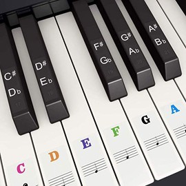 SUEWIO Piano Keyboard Stickers for 37/49/54/61/88 White and Black Keys, Colorful Music Electronic Piano Keyboard Note Stickers for Kids Beginners, Transparent & Removable