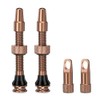 HZJD Pack of 2 Presta Tubeless Valves, Desert, Tubeless Stem,