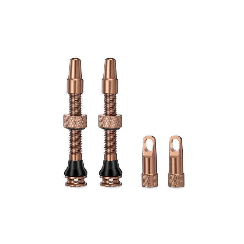 HZJD Pack of 2 Presta Tubeless Valves, Desert, Tubeless Stem,