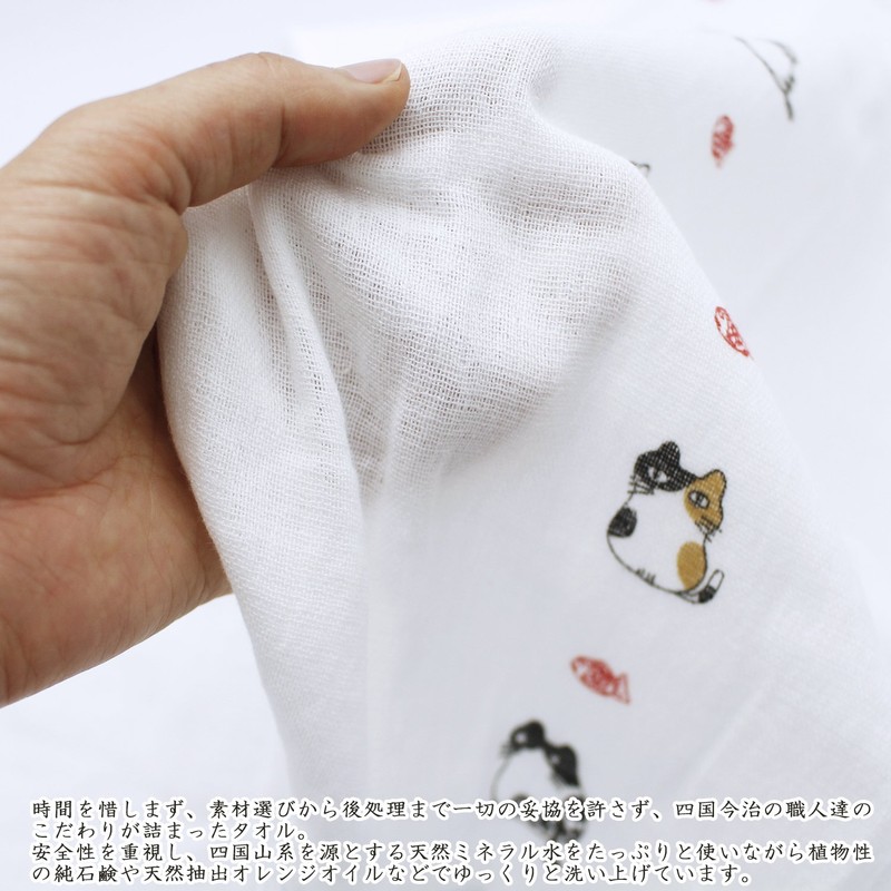 25402 Imabari Towel Face Towel, Hagoromo, Gauze, Catfish, Blue, Approx.