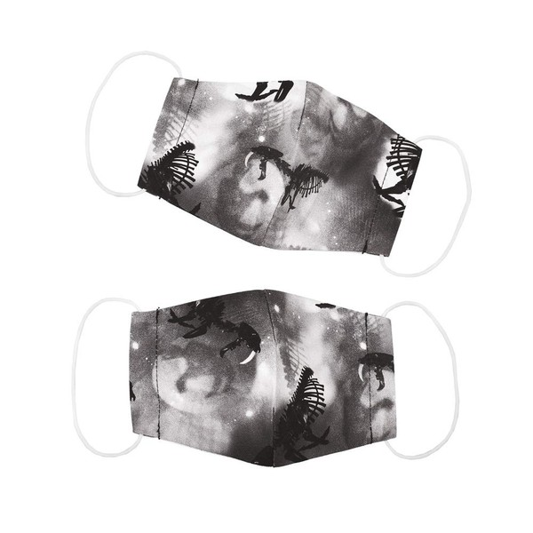 [カラフルキャンディスタイル] マスク こども用 男の子 2枚セット 洗える 立体 布 抗菌 小さめ