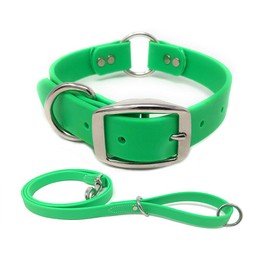 Regal Dog Products Medium Light Green Waterproof Dog Collar and Leash Set - Vinyl Coated Biothane Pet Training Collar with Heavy Duty Center Ring & 5ft Leash - Other Sizes for Puppy Small & Large Dogs