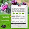 Burdock Seed for Planting - 1 Packet with Instructions to