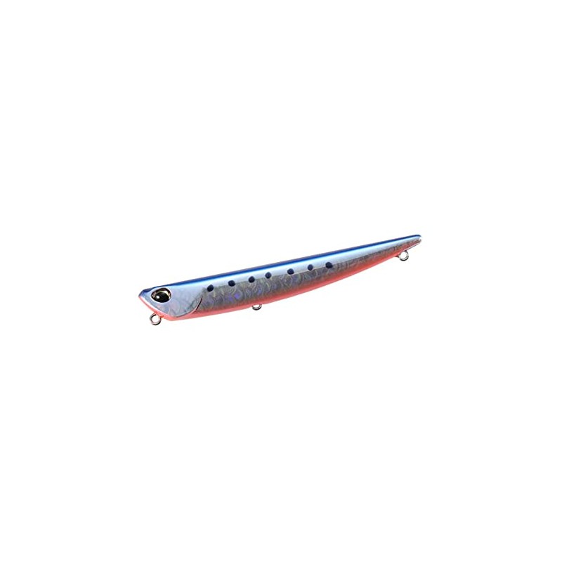 DUO CYA0587 Baby Roof Manic 75 Urocomaz Eagle