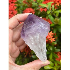 GAF TREASURES Extra Large Amethyst Point, Natural Amethyst Point, Raw Amethyst Point Healing Crystals (8-10 oz)
