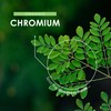 Organic Chromium 1000mcg - from Moringa Leaf – 60 Vegan