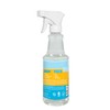 Carvida Vinegar Cleaner, Plant-Based, Multi-purpose Automotive Cleaning Spray, Natural Mint