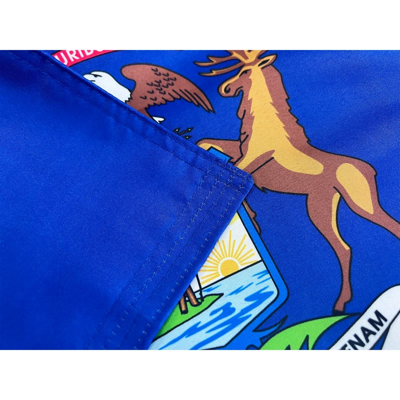 FRF FLAG Michigan State Boat Flag 12x18 Inch, Double Side