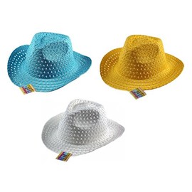 1x Straw Cowboy Hat - Child/ Kid/ Boys/ Girls- Colour Random: Blue, White or Yellow