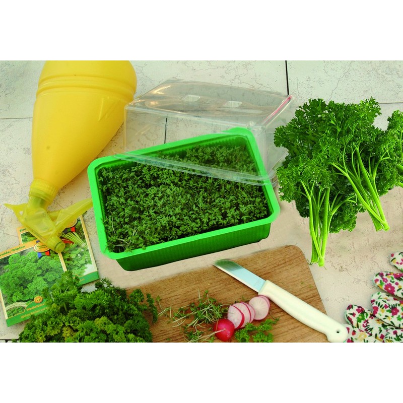 Floraworld 011517 Indoor Greenhouse Small Classic Green 20 x 15