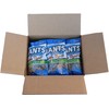 GIANTS Sunflower Seeds Dill Pickle Kettle Roast Flavor, 5 Ounce