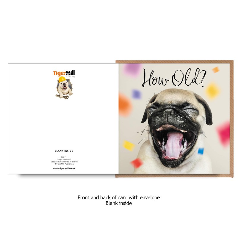 TigerMill Publishing 'How Old?' Funny Pug Dog Birthday card