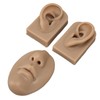 3D Nose and Mouth Model Silicone Ear Model Simulation Display