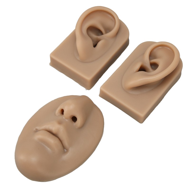3D Nose and Mouth Model Silicone Ear Model Simulation Display