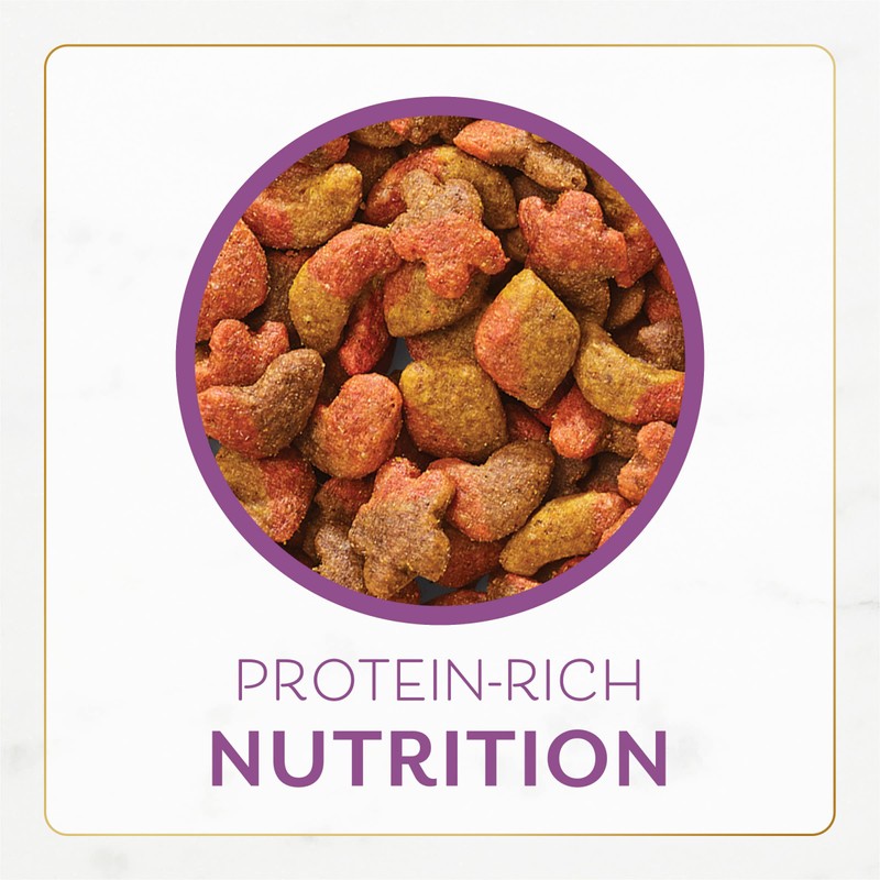 Fancy Feast Dry Cat Food with Savory Chicken and Turkey