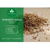 Naturaldo ARTEMISIA ANNUA (ONE YEAR BEIFOOT) CUT (250g)