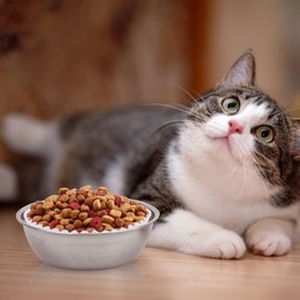 Disposable Pet Food Bowls Pad Paper, Thickening Disposable Pet Bowls, Disposable Pet Food Bowls Small Lining, Suitable for Dry and Wet Food, Kittens, Puppies (300,not included stainless steel bowls)