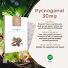 healthspan Healthspan Pycnogenol 30mg (60 Tablets) | French Maritime Pine
