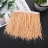 HaiMay 3 Yards Champagn Ostrich Feathers Fringe Trim Sewing Feather