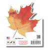 Earth Sky + Water - Sugar Maple Leaf - 3.5″