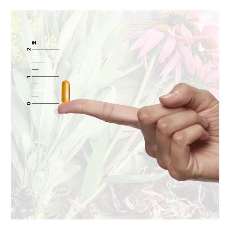 Natures Answer Dong Quai 500 Mg 90caps Vegetarianas Sfn Sin