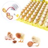 Joyzan Egg Turner Motor, AC Chicken Rotator Incubator Automatic Turntable