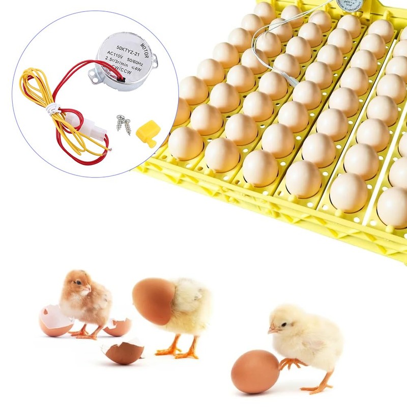 Joyzan Egg Turner Motor, AC Chicken Rotator Incubator Automatic Turntable