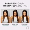 L’Oréal Paris Elvive Hydra Pure Routine for Oily Roots, Scalp