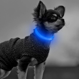 Domagiker Led Puppy Collar - USB Rechargeable Light Up Small Dog Collars, Nylon Adjustable Flashing Cat Safety Necklace, Camping Gear for Small Dogs and Cats