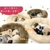 moin moin Figure Magnet, Dog, Dog, Fluffy, Bed, Realistic, Realistic
