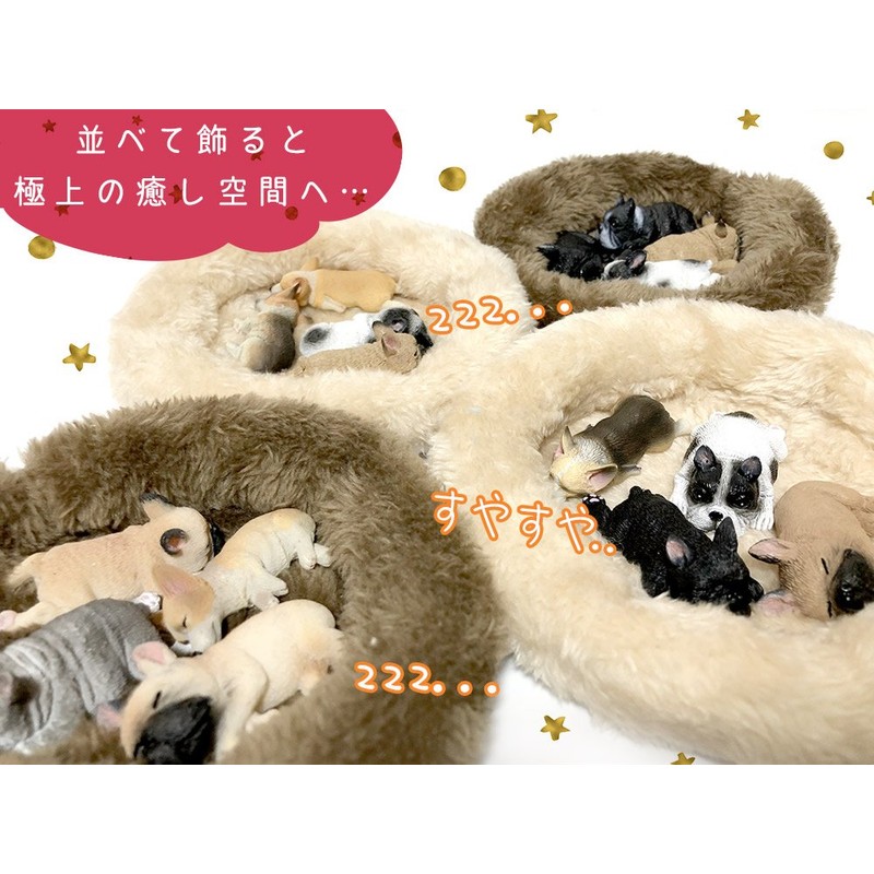 moin moin Figure Magnet, Dog, Dog, Fluffy, Bed, Realistic, Realistic