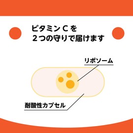 リポソームビタミンCカプセル