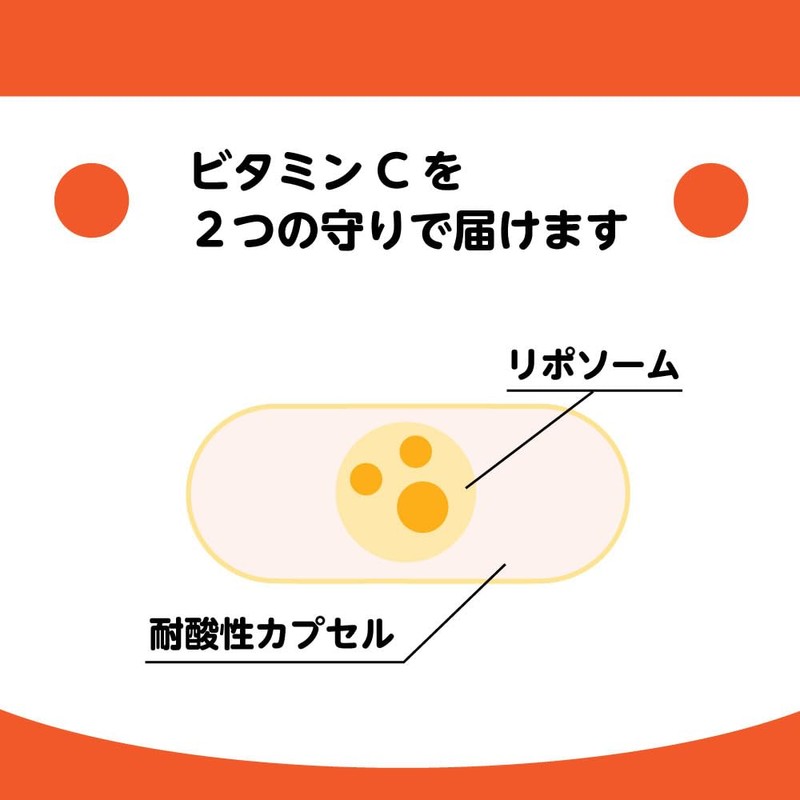 リポソームビタミンCカプセル