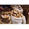 Dragon Herbs - Astragalus Root Drops - 2 fl oz