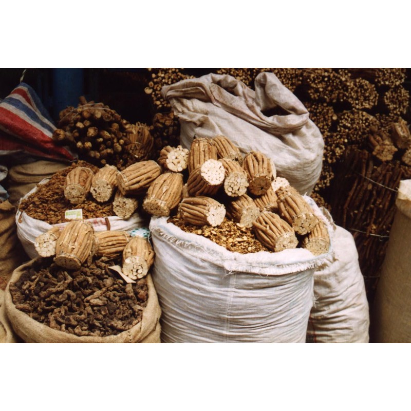 Dragon Herbs - Astragalus Root Drops - 2 fl oz