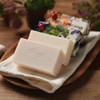 Alchimia Ladybug Soap - White Musk / 알키미아 무당벌레 비누